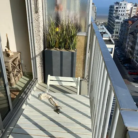 Au 9 Sans 6 : Lumineux Vue Laterale